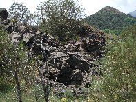 otta di Serra Pizzuta-20100602 162